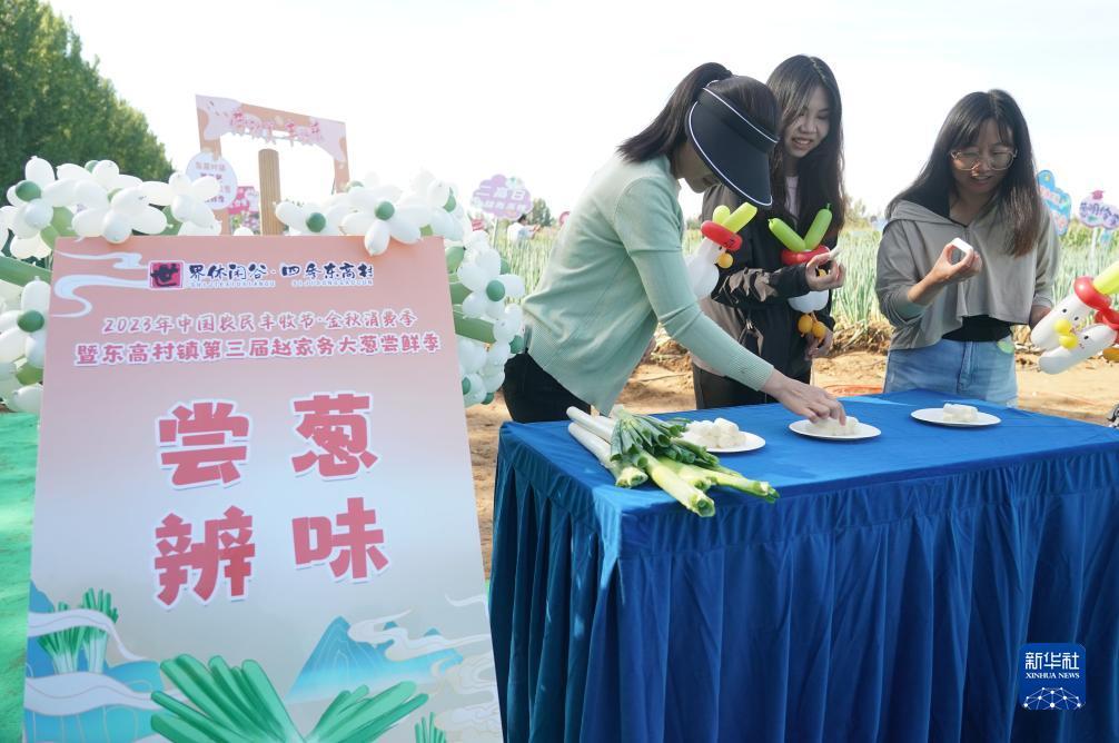 新京网首页官网